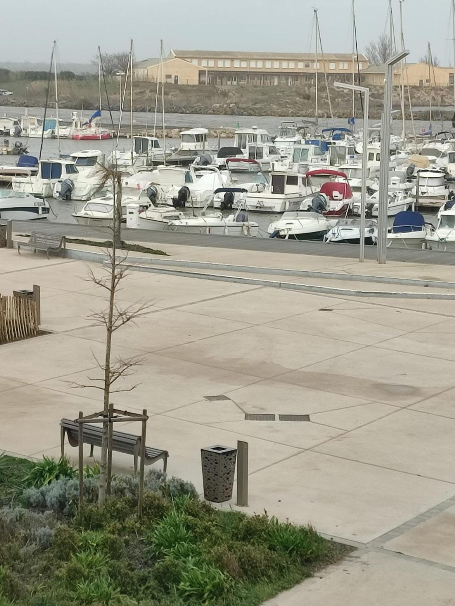 Studio Valras Vue Port Et Mer Wi-Fi Gratuit Экстерьер фото